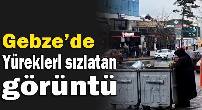 Gebze’de yürekleri sızlatan görüntü