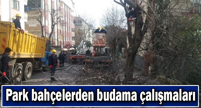 Gebze'de Park bahçelerde budama çalışmaları