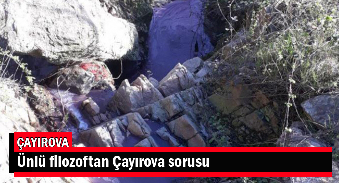 Ünlü filozoftan Çayırova sorusu