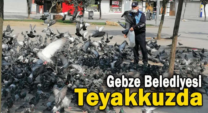 Gebze’de Ekipler Teyakkuzda