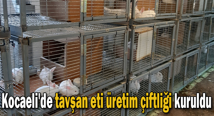 Kocaeli'de tavşan eti üretim çiftliği kuruldu