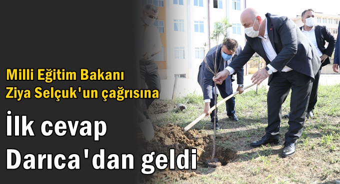 Darıca’da okul bahçelerine fidan dikiliyor