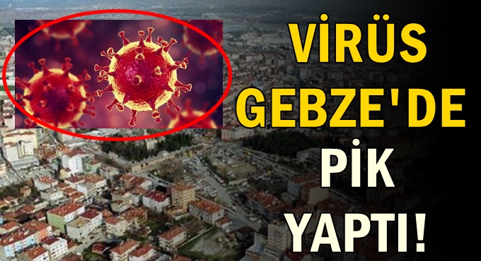 Virüs Gebze’de pik yaptı!