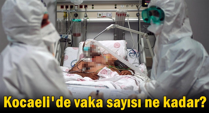 Kocaeli'de vaka sayısı ne kadar?