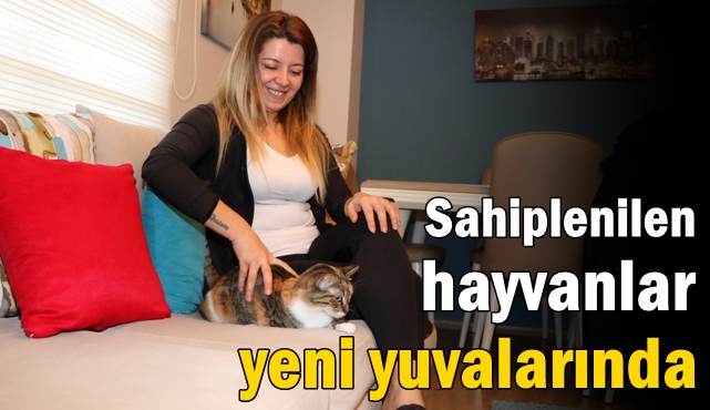 Sahiplenilen hayvanlar yeni yuvalarında