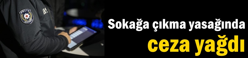 Sokağa çıkma yasağında ceza yağdı