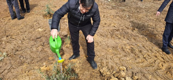 Babalı Sahili’ne anlamlı hatıra ormanı