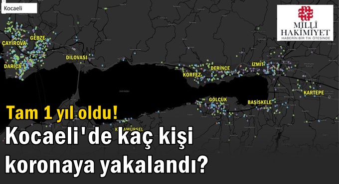 1 Yılda Kocaeli'de kaç kişi koronaya yakalandı?