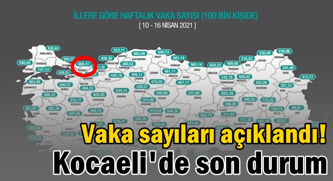 Vaka sayıları açıklandı! Kocaeli'de son durum