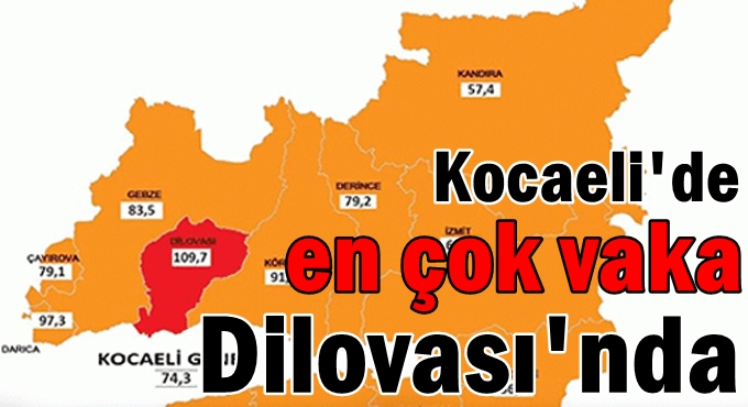 Kocaeli'de en çok vaka Dilovası'nda