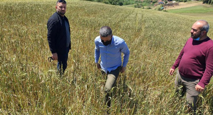 Büyükşehir’den, doludan tarlaları zarar gören çiftçilere destek