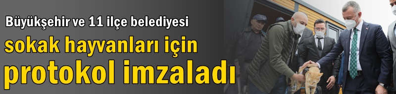 Büyükşehir ve 11 ilçe belediyesi sokak hayvanları için protokol imzaladı