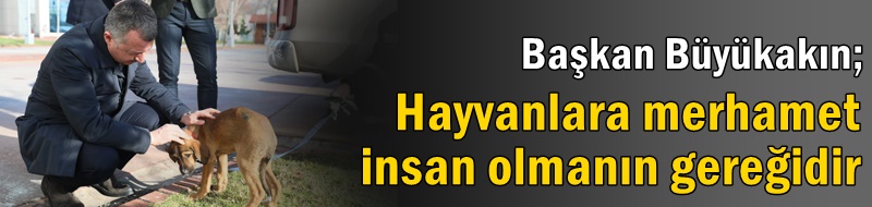 Başkan Büyükakın; ”Hayvanlara merhamet insan olmanın gereğidir”