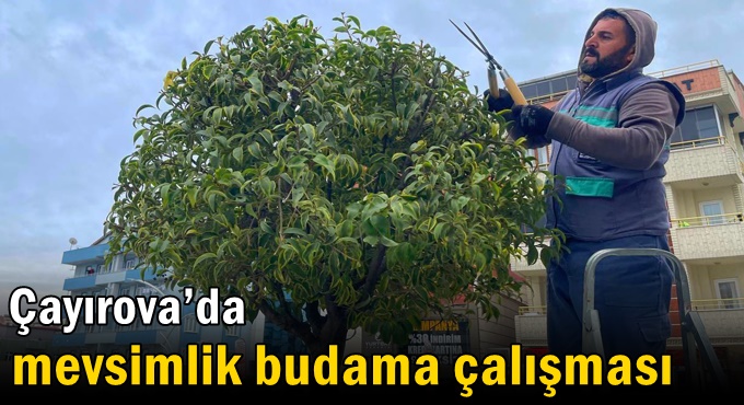 Çayırova’da mevsimlik budama çalışması