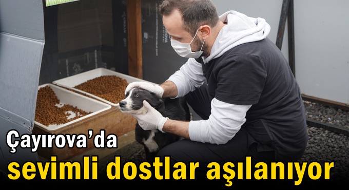 Çayırova’da sevimli dostlar aşılanıyor