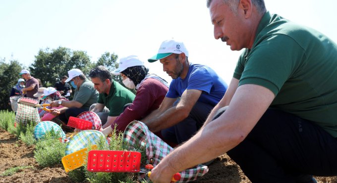 Kooperatif ve birliklere yüzde 75 hibe desteği