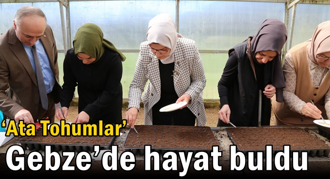 ‘Ata Tohumlar’ Gebze’de hayat buldu