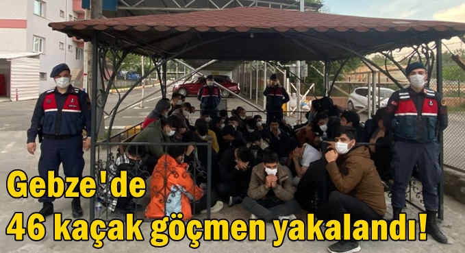 Gebze'de 46 kaçak göçmen yakalandı