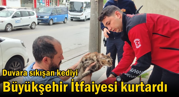 Duvara sıkışan kediyi Büyükşehir İtfaiyesi kurtardı