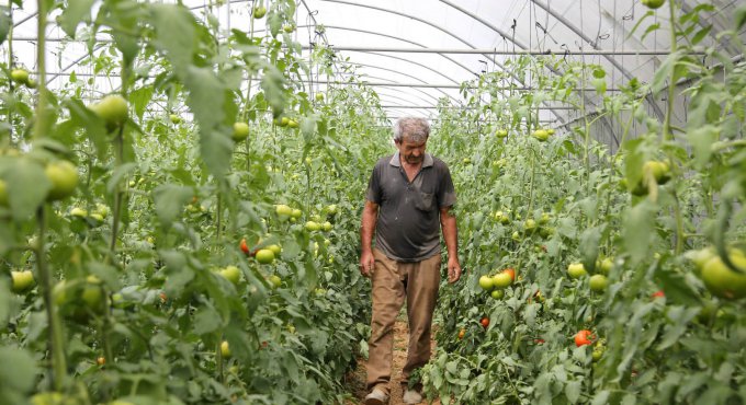 Büyükşehir’den üreticilere yüzde 50 hibeli sera desteği