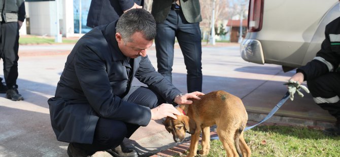 ’’Hayvanları sadece yasalarla değil vicdanlarımızla koruyabiliriz’’