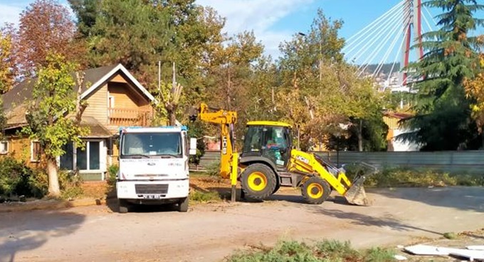 Büyükşehir’den örnek ağaç hassasiyeti