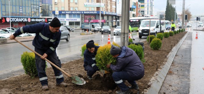 D-100 kuzey yan yolda yeşillendirme çalışması