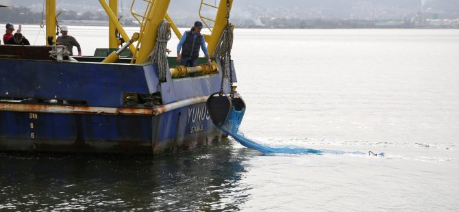 İzmit Körfezi’nde biyoçeşitliliğin tespiti