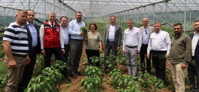 İzmit Dağköy’de araka hasat şenliği düzenlendi