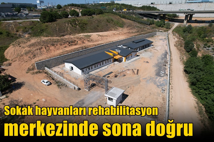 Sokak hayvanları rehabilitasyon merkezinde sona doğru