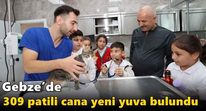 Gebze’de 309 Patili Cana Yeni Yuva Bulundu