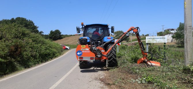 Yol kenarındaki otlar ve çalılar temizleniyor