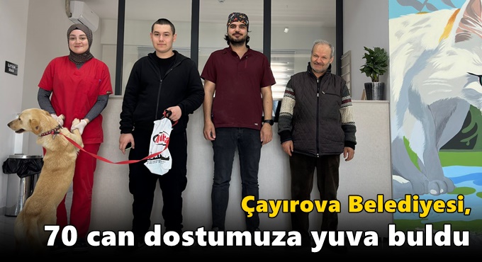 Çayırova Belediyesi, 70 can dostumuza yuva buldu