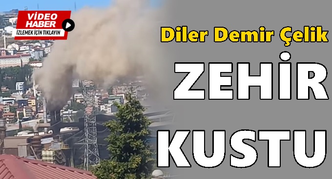 Diler Demir Çelik zehir kustu!