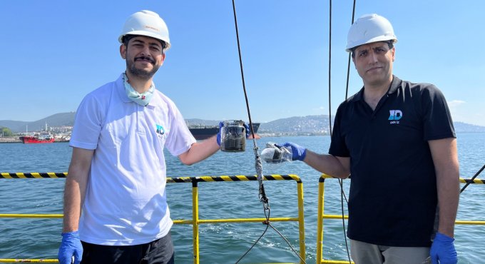 İzmit Körfezi’nde deniz ekosistemi hayat buluyor