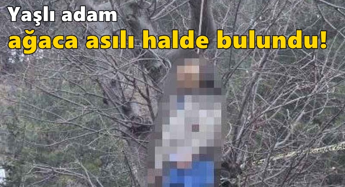 Yaşlı adam ağaca asılı halde bulundu!