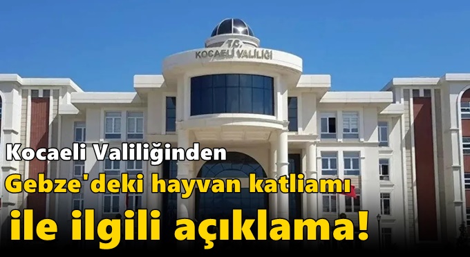 Kocaeli Valiliğinden Gebze'deki hayvan katliamı ile ilgili açıklama!