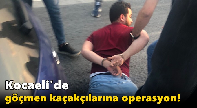 Kocaeli'de göçmen kaçakçılarına operasyon!