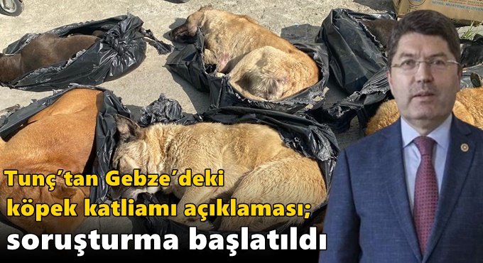 Tunç’tan Gebze’deki köpek katliamı açıklaması; “Soruşturma başlatıldı”