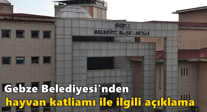 Gebze Belediyesi'nden  hayvan katliamı ile ilgili açıklama