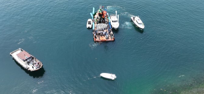 İzmit Körfezi’ne 6 bin balık daha salınacak