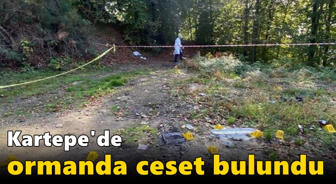 Kartepe'de ormanda ceset bulundu