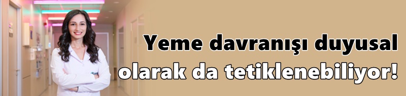 Güzel görünen yiyeceklere karşı koyamıyorsanız, sebebi hedonik açlık olabilir