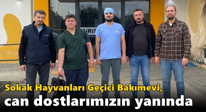 Sokak Hayvanları Geçici Bakımevi, can dostlarımızın yanında