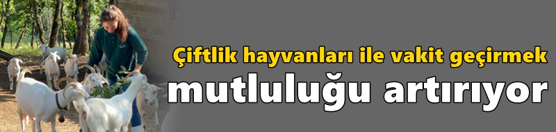 Çiftlik hayvanları ile vakit geçirmek mutluluğu artırıyor