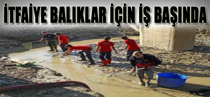 İtfaiye Balıklar İçin İş Başında