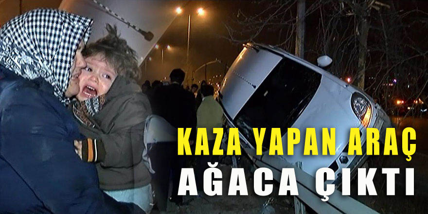 Kaza yapan araç ağaca çıktı