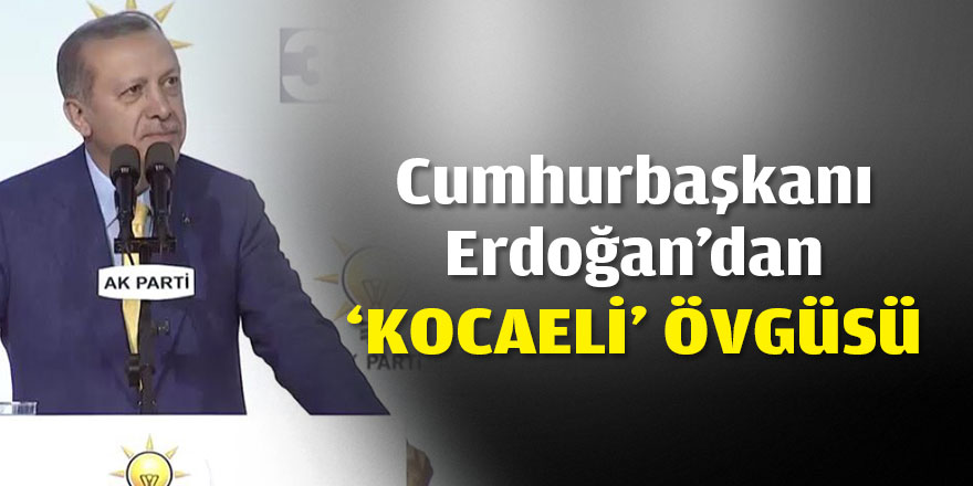 Cumhurbaşkanı Erdoğan'dan 'Kocaeli' övgüsü