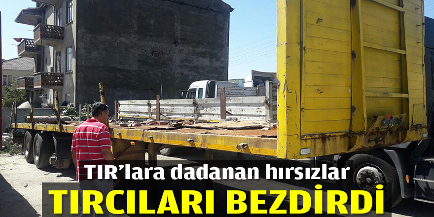 TIR'lara dadanan hırsızlar şoförleri bezdirdi