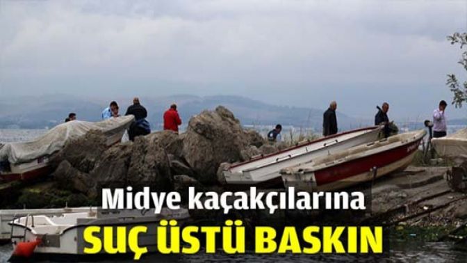 Midye kaçakçılarına suç üstü baskın